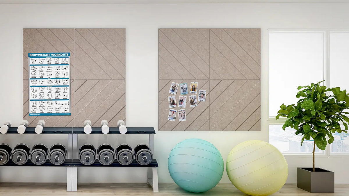 Chevron pattern noise absorbing panels installed on walls in a room with exercise equipment and a plant.